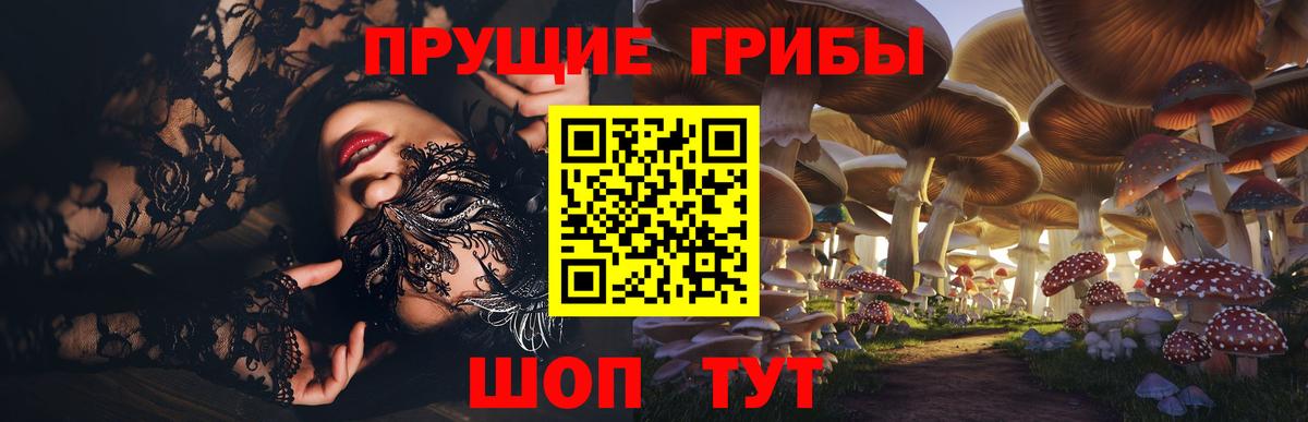 даркнет сайт  Галлюциногенные грибы Psilocybine cubensis  Вход с VPN  Кострома 